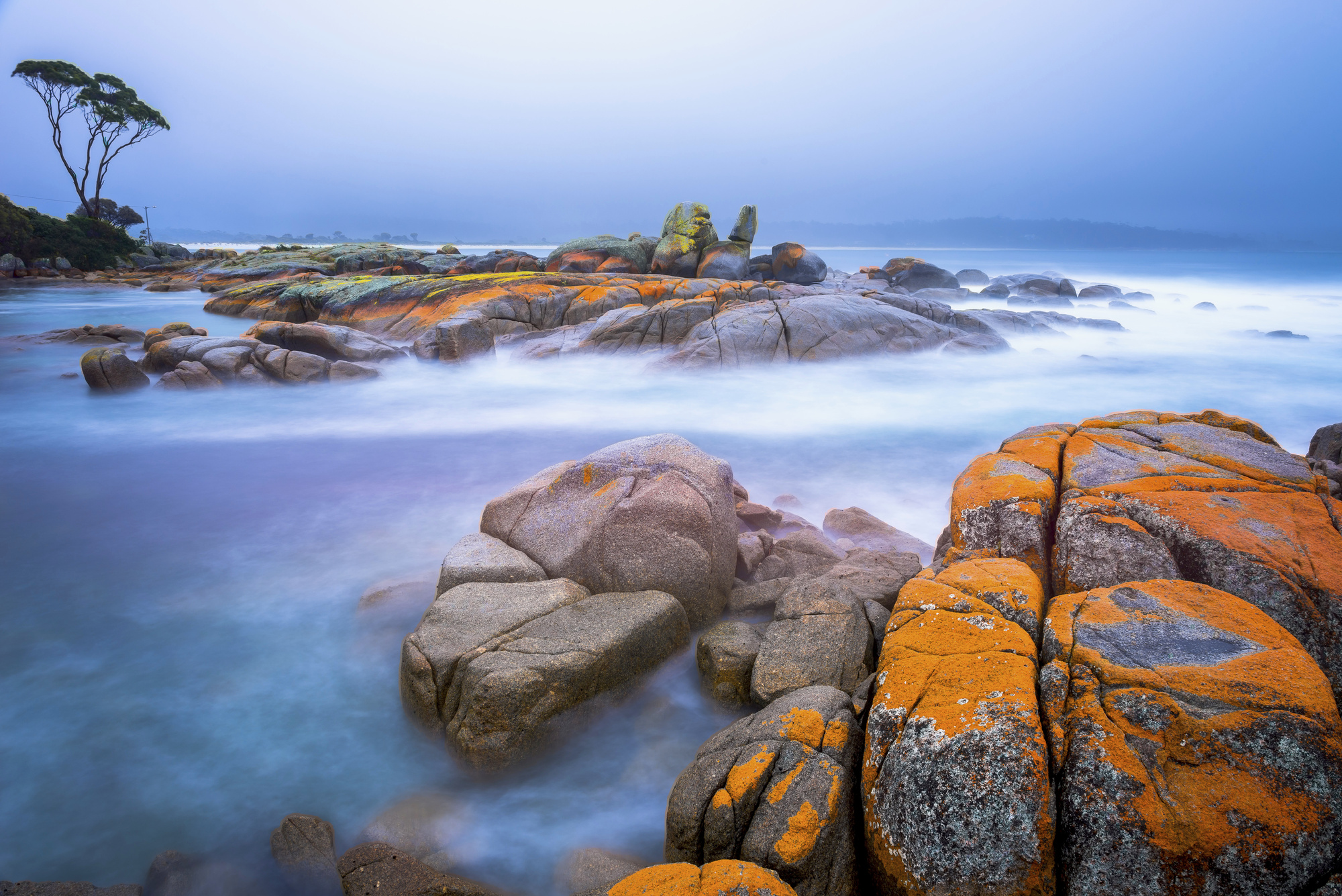 tasmania travel